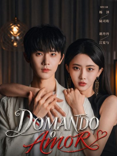 Capa da minissérie Domando o Amor