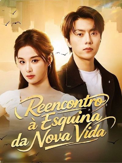 Capa da minissérie Reencontro a Esquina da Nova Vida