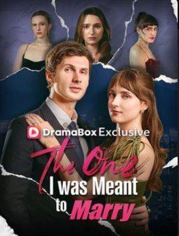 Capa da minissérie The One I Was Meant To Marry a Pessoa com Quem Eu Deveria Me Casar